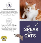 Dr. Elsey's cleanprotein Chicken Recipe Wet Cat Food, Pate 5.3 oz cans (Pack of 24)