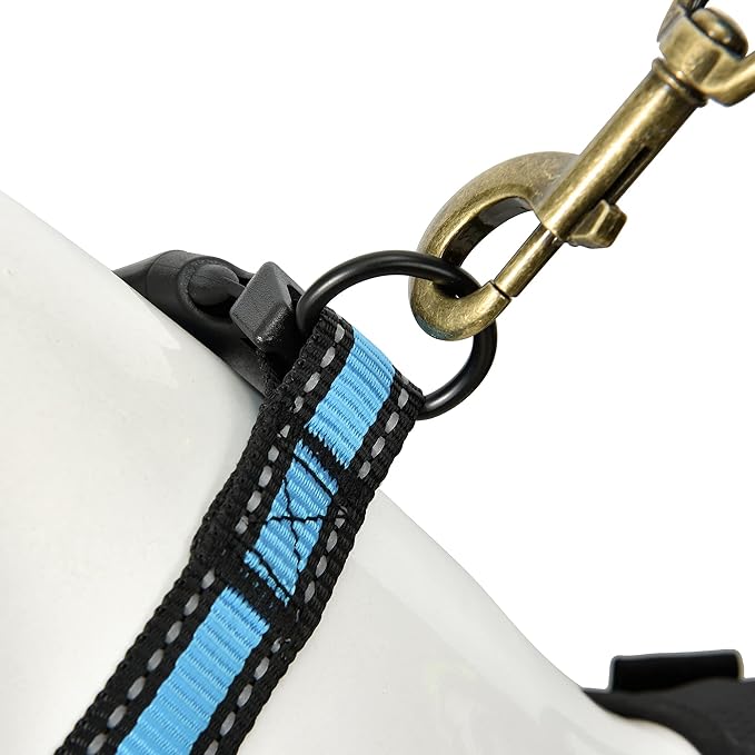 Mile High Life Dog Collar | Nylon Reflective Dog Collars | Light Weight Puppy Collars | Blue Dog Collars for Large Dogs (Blue, Large)