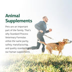 Standard Process Inc. Canine Whole Body Support - Multisystem Support Supplement for Canines - Nutritional Powder for Daily Health Maintenance - Multisystem Supplement Formula - 25 g