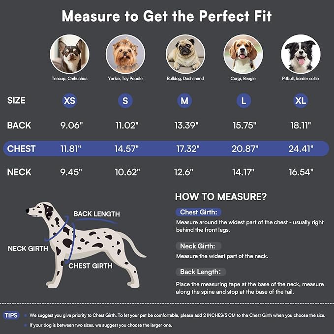 Queenmore Medium Dog Sweater,Dog Sweater for Medium Dogs Boys Girls,Christmas Sweaters for Dogs,DogSweater Knitwear Outfit,Thick Warm Pet Clothes for French Bulldog,Boston Terrier(Royal Blue,M)