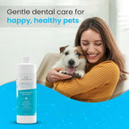 Oxydent Premium Pet Dental Care Solution - Pet Water Additive & Mouthwash for Teeth Cleaning - Eliminate Bad Dog & Cat Bad Breath - Dog Dental Rinse - Fights Tartar & Plaque