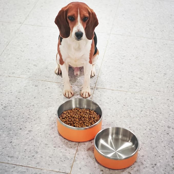 LIHONG Stainless Steel Dog Bowls for Large Dogs,Dog Food Water Bowls with Non Slip Rubber Bottom,Pet Feeding Bowl,Double Wall Insulated,Rustproof(64oz,Orange)