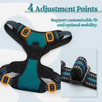 rabbitgoo Dog Harness No Pull with 2 Leash Clips, Adjustable Soft Padded, Reflective Oxford No Choke Pet Vest with Easy Control Handle for Small Dogs, Blue Coral, S