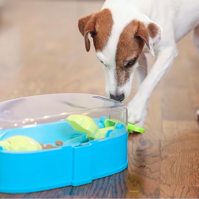 Outward Hound Nina Ottosson Paw N' Play Interactive Dog Treat Puzzle, Level 2 Intermediate Dog Enrichment Dog Toy, Blue, Small