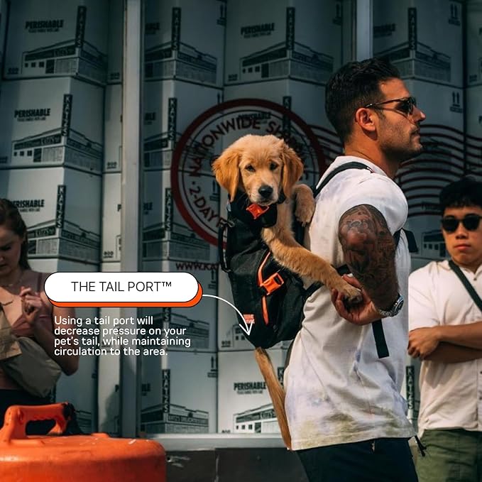 The Maxine One Medium Dog Carrier by Little Chonk | Dog Backpack Carrier for Medium Sized Breeds | Adjustable Front Facing Pet Carrier for Travel | Dog Hiking Backpack - Bark After Dark Black