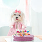 KOUPA Pet Wedding Costume for Cat Small Dogs, Sparkly Cat Clothes Tulle Cloak for Puppy Kitten, Halloween Dog Outfit Suit for Party Holiday Christmas, Pink