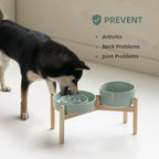 Ceramic Raised Slow Feeder Dog Bowl Set, Elevated 6.1inch Bowl and 7.3inch Puzzle Slow Food Dish with Wooden Stand for Small and Medium Dog, Anti-Gulping (2X Light Green+ Stand)