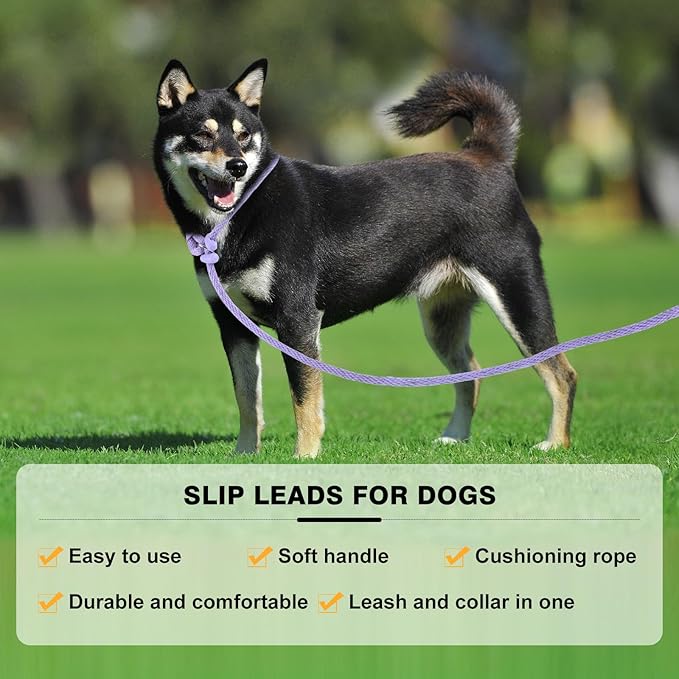 Lynxking Dog Leash Slip Lead Reflective Breathable Rope Comfortable Strong No Pull Slip On Pet Training Lead for Dogs