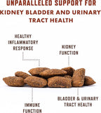 Rocco & Roxie Cat Urinary Tract Health Supplement, Cranberry and D-Mannose for Kidney, Bladder, and UT Support, Vet Recommended Chicken Flavored Crunchy Chews Cats Love, Made in USA