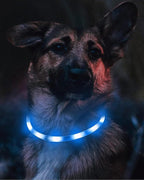 Joytale Light Up Dog Collar, Rechargeable Rainproof LED Collar for Night Walking Safety, Soft Silicone Glow in The Dark, Suitable for Small Medium Large Dogs, Blue