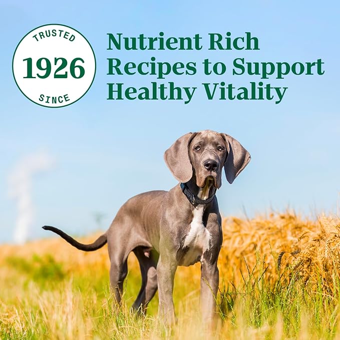 Nutro Natural Choice Large Breed Puppy Dry Dog Food, Chicken and Brown Rice Recipe, 30 lbs.