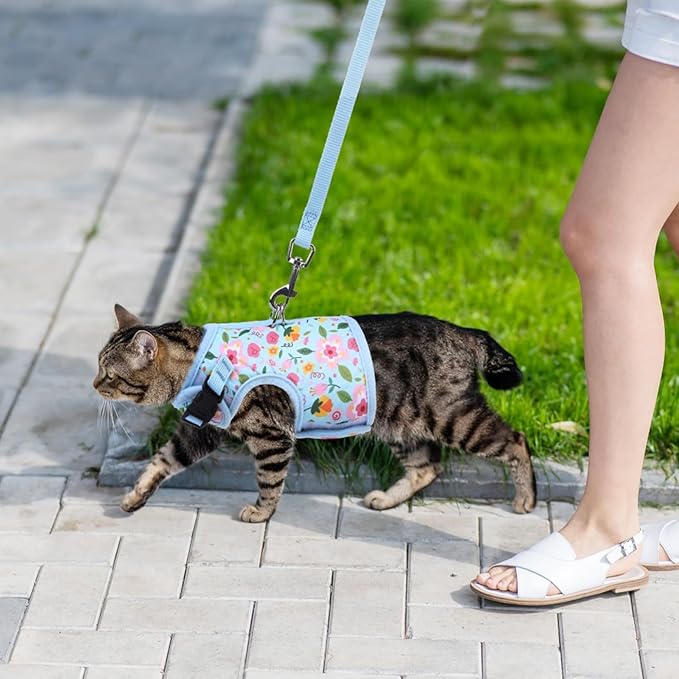 BINGPET Cat Harness and Leash Set Escape Proof for Walking,Step-in Harness with Lightweight Soft Breathable Mesh,Adjustable Easy Control Harness for Kitten Puppy Small Medium Large Cats(Flower,L)