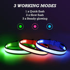 Light up Dog Collars- USB Rechargeable LED Dog Collar, Full Illuminated and Adjustable Dog Collar Light, Three Colors and Three Sizes for Small, Medium, Large Dogs (Medium, Pink-2)