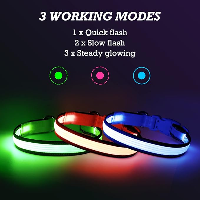 Light up Dog Collars- USB Rechargeable LED Dog Collar, Full Illuminated and Adjustable Dog Collar Light, Three Colors and Three Sizes for Small, Medium, Large Dogs (Medium, Pink-2)