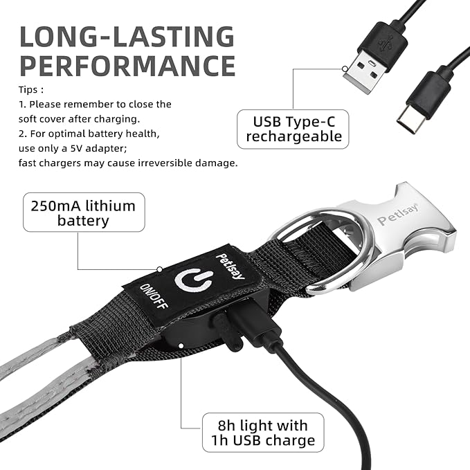 PetIsay LED Dog Collar Metal Buckle - Heavy Duty Light up Collars - Rechargeable IP68 Waterproof - Lighted Dog Collar for Night Walking, Hiking, Camping (Large, White)