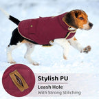 Queenmore Dog Winter Coat Warm Puffer Jacket Waterproof Plush Lining Thermal Cold Weather Vest for Small Medium Large Dogs, Windproof Easy On Pet Jacket Burgundy XL