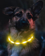 Joytale Light Up Dog Collar, Rechargeable Rainproof LED Collar for Night Walking Safety, Soft Silicone Glow in The Dark, Suitable for Small Medium Large Dogs, Yellow