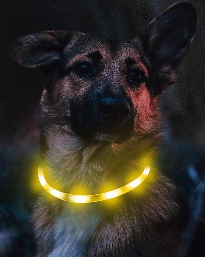 Joytale Light Up Dog Collar, Rechargeable Rainproof LED Collar for Night Walking Safety, Soft Silicone Glow in The Dark, Suitable for Small Medium Large Dogs, Yellow