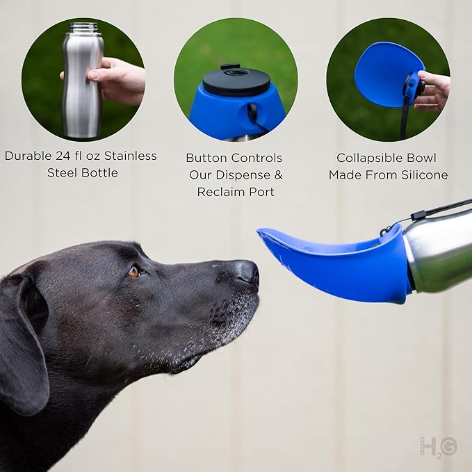 Portable Dog Water Bottle, 24 oz, Stainless Steel, Convenient Pet Water Dispenser, Collapsible Travel Bowl, Walking, Hiking, and Outdoor Activity, Compatible with Various Pets, Houd2Go (Green, 24oz)