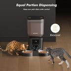 Automatic Cat Feeder for 2 Cats - 8L/34 Cups Large Capacity Auto Cat Food Dispenser with LCD Screen, 2 Food Trays, Timed Feeder, Up to 50 Portions 6 Meals Per Day, Keep Fresh