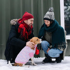 Pet Clothing,Turtleneck Dog Sweater,Sweaters for Dogs Boys and Girls,Pullover Dog Sweaters,Pet Knitted Clothes,Fit for Different Kinds Dogs,for Spring,Autumn and Winter(Pink L)