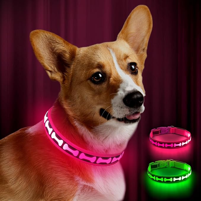 Flashseen Light Up Dog Collars, Adjustable LED Dog Collar Rechargeable, Glow in The Dark Dog Collars Super Bright Glow Collars for Night Walking for Dogs (Pink, Medium)