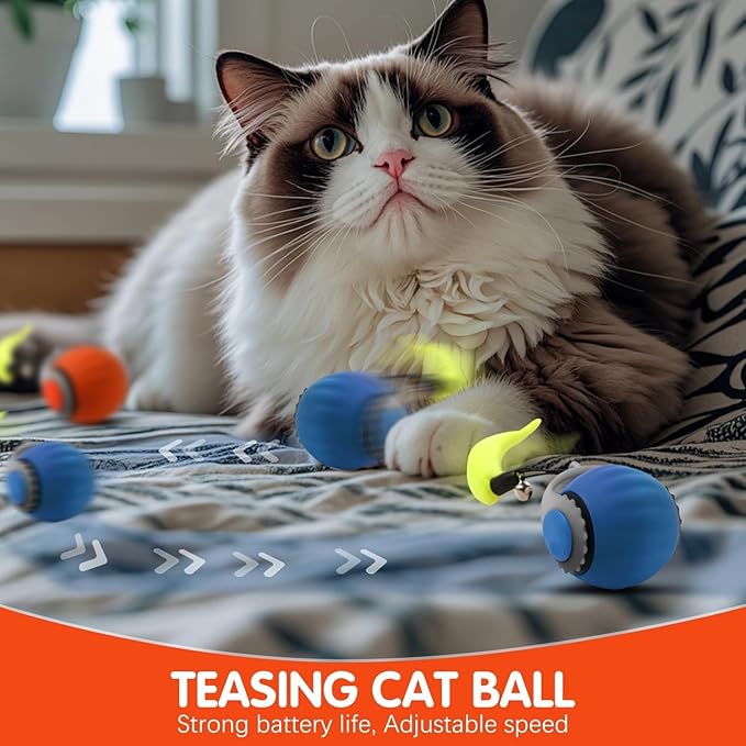 2 Pack Interactive Cat Toy Ball, Cat Enrichment Toys for Indoor Cats for Bored Indoor Adult Cats, Motion Activated
