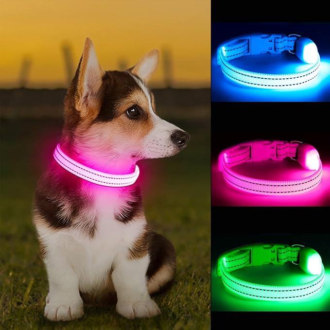 LED Dog Collar - Light Up, Adjustable, Rechargeable, Waterproof - Night Walking, Glow in Dark - Small, Pink