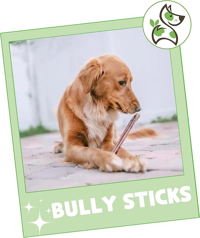 Gnaws Nature Bully Sticks for Dogs 11-12" (1Lb) - Mixed Thickness - Long Lasting for Aggressive Chewers and Large Dogs - Natural Beef Dog Chew Bones