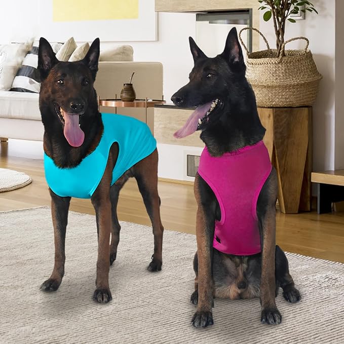 2-in-1 Dog Shirts, Soft and Cool T-Shirt Vests, Stretchy Summer Pet Clothes for Medium to Large Pets - Purple & Blue (XL)