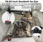 Cat Harness and Leash for Walking, Retractable Cat Harnesses and Leash Set Escape Proof, Breathable Soft Kitten Small Large Harness for Travel Training and Walking, Black, S