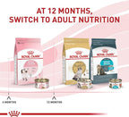 Royal Canin Feline Health Nutrition Kitten Thin Slices in Gravy Cat Food, 3 oz (Pack of 24)
