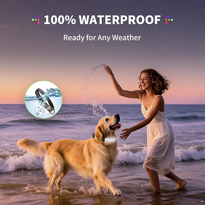 LED Dog Collar with Metal Buckle - USB Rechargeable Glow Collar for Dogs, Waterproof Light Up Dog Collar w/Reflective Strips - Adjustable Night Safety Collars by PetIsay(White,Medium)