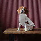 ROZKITCH Dog Winter Coat Soft Pullover Pajamas, Pet Windproof Warm Cold Weather Jacket Vest Cozy Onesie Jumpsuit Apparel Outfit Clothes for Small Medium Large Dogs Walking Sleep Grey 3XL