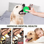 petizer 6 Pack 3.5” Squeaky Dog Toy Balls, Floating Pool Balls, Spiky Dog Balls, Durable Interactive Fetch Toys for Puppy, Dog Chew Toys for Teething (3.5", Medium/Large)