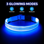 Illumifun LED Dog Collar, USB Rechargeable Light Up Dog Collar, Adjustable Pet Safety Light Glow in The Dark (Blue, Medium)