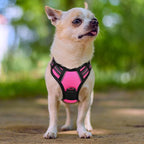 rabbitgoo Dog Harness No Pull with 2 Leash Clips, Adjustable Soft Padded, Reflective Oxford No Choke Pet Vest with Easy Control Handle for Puppy, Hot Pink, XS