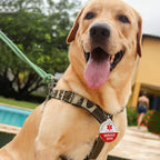 MYLUCKYTAG NFC & QR Code Smart Pet ID Tag, Personalized Online Pet Profile, Durable Dog Tag