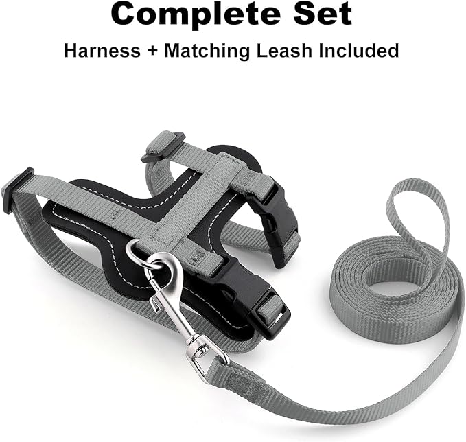 Plutus Pet Adjustable Cat Harness and Leash Set, Quick Release, Escape Proof Nylon Vest with Leather Trim for Kitten, Small Medium Large Cats, Gray