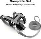 Plutus Pet Adjustable Cat Harness and Leash Set, Quick Release, Escape Proof Nylon Vest with Leather Trim for Kitten, Small Medium Large Cats, Gray