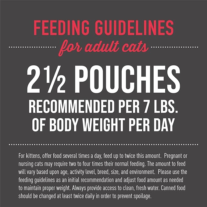 Tiki Cat Aloha Friends, Chicken, Pumpkin & Beef, Grain-Free & High Moisture, Wet Cat Food for All Life Stages 2.5 oz. Pouch (12 Count)