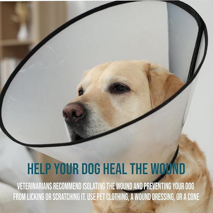 Forticept Blue Butter – Hot Spot Treatment for Dogs Cats | Dog Cat Wound Care | Skin Yeast Infections, Ringworm, Cuts, Rashes, First Aid Veterinary Strength Anti Itch Cream 4oz