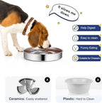 Slow Feeder Dog Bowl Stainless Steel, 2 Cups Metal Non-Slip Dog Food Bowls, Dog Water Bowl for Small & Medium Sized Dogs, Fun Bloat Stop Pet Bowl for Fast Eaters, Slows Down Pets Eating