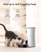 Petory Automatic Cat Feeders Wi-Fi - 4L Dry Food Dispenser for Cats and Dogs 10 Meals per Day Smart Pet Feeder with Desiccant Bag Dual Power Supply 10S Voice Recorder