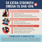 Bernie’s OMG! Omegas Chews for Dogs - 5X Extra Strength DHA+EPA, Fish Oil, Healthy Skin & Coat, Allergy Relief, Joint Supplement (Salmon Flavor)