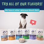 Under the Weather Bland Diet for Dogs | Easy to Digest for Sick Dogs | Always Be Ready | Contains Electrolytes - Natural Freeze Dried 100% Human Grade Meats| 1 Pack- Rice, Hamburger & Bone Broth - 6oz