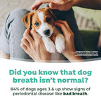 TropiClean Fresh Breath Water Additive for Puppies, Teeth Cleaning and Breath Freshener Solution, No Toothpaste or Toothbrush Required, 16oz.