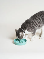 Ceramic Slow Feeder Dog Bowls Small Breed, 0.5 Cups Dog Food Dish for Fast Eaters, Puzzle Bowl for Small Dogs and Cats, 5.5 Inch-Turquoise