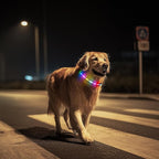 LED Dog Collar, Light Up Dog Collar, USB Rechargeable - Brightest Dog Lights for Night Walking, 6 Light Modes, Adjustable for Dog Safety(Large, Purple)