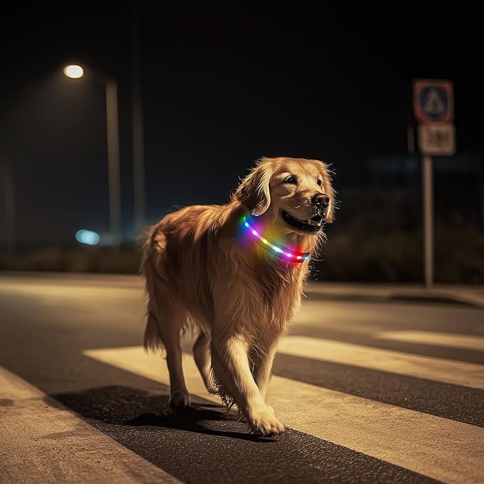 LED Dog Collar, Light Up Dog Collar, USB Rechargeable - Brightest Dog Lights for Night Walking, 6 Light Modes, Adjustable for Dog Safety(Medium, Purple)
